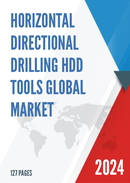 Global Horizontal Directional Drilling HDD Tools Market Size Status and Forecast 2021 2027