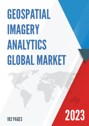 Global Geospatial Imagery Analytics Market Insights and Forecast to 2028