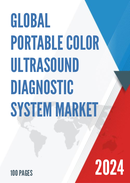 Global Portable Color Ultrasound Diagnostic System Market Research Report 2022