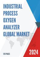 Global Industrial Process Oxygen Analyzer Market Research Report 2023