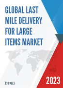 Global Last Mile Delivery for Large Items Market Size Status and Forecast 2021 2027