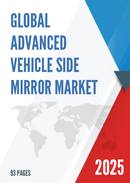 Global Advanced Vehicle Side Mirror Market Research Report 2024