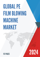 Global PE Film Blowing Machine Market Insights Forecast to 2029