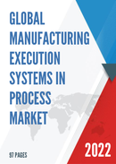 Global Manufacturing Execution Systems in Process Market Insights and Forecast to 2028