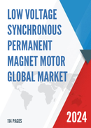Global Low Voltage Synchronous Permanent Magnet Motor Market Research Report 2023