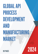 Global API Process Development and Manufacturing Market Research Report 2023