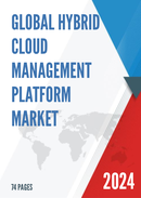 Global Hybrid Cloud Management Platform Market Insights and Forecast to 2028