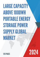 Global Large Capacity Above 1000Wh Portable Energy Storage Power Supply Market Research Report 2023