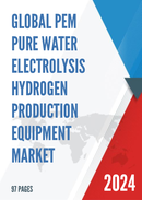 Global PEM Pure Water Electrolysis Hydrogen Production Equipment Market Research Report 2024