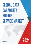 Global Data Capability Building Service Market Research Report 2024