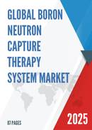 Global Boron Neutron Capture Therapy System Market Research Report 2024