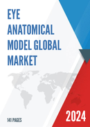 Global Eye Anatomical Model Market Size Manufacturers Supply Chain Sales Channel and Clients 2022 2028