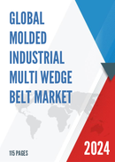 Global Molded Industrial Multi Wedge Belt Market Research Report 2024