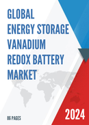 Global Energy Storage Vanadium Redox Battery Market Insights Forecast to 2028
