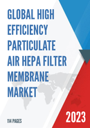 Global High Efficiency Particulate Air HEPA Filter Membrane Market Research Report 2022