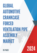 Global Automotive Crankcase Forced Ventilation Pipe Assembly Market Research Report 2024