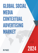 Global Social Media Contextual Advertising Market Insights Forecast to 2028