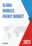 Global Biomass Energy Market Insights and Forecast to 2028