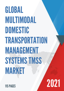 Global Multimodal Domestic Transportation Management Systems TMSs Market Size Status and Forecast 2021 2027
