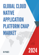 Global Cloud Native Application Platform CNAP Market Research Report 2023