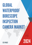 Global Waterproof Borescope Inspection Camera Market Research Report 2023