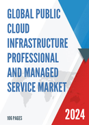 Global Public Cloud Infrastructure Professional and Managed Service Market Insights Forecast to 2028