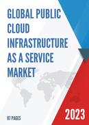Global Public Cloud Infrastructure as a Service Market Insights and Forecast to 2028