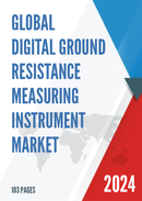 Global and China Digital Ground Resistance Measuring Instrument Market Insights Forecast to 2027