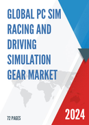 Global PC Sim Racing and Driving Simulation Gear Market Research Report 2024