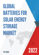 Global Batteries for Solar Energy Storage Market Report History and Forecast 2017 2028 Breakdown Data by Companies Key Regions Types and Application