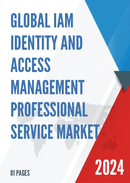 Global IAM Identity and Access Management Professional Service Market Insights Forecast to 2028