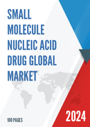 Global Small Molecule Nucleic Acid Drug Market Research Report 2023