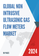 Global Non Intrusive Ultrasonic Gas Flow Meters Market Research Report 2024