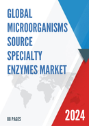 Global Microorganisms Source Specialty Enzymes Market Insights Forecast to 2028