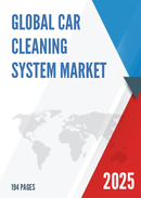 Global Car Cleaning System Market Research Report 2024