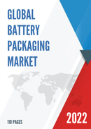 Global Battery Packaging Market Size Status and Forecast 2022