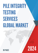 Global Pile Integrity Testing Services Market Research Report 2023