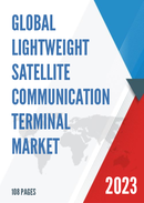 Global Lightweight Satellite Communication Terminal Market Research Report 2022