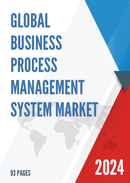 Global Business Process Management System Market Research Report 2024