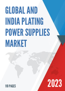 Global and India Plating Power Supplies Market Report Forecast 2023 2029