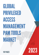 Global Privileged Access Management PAM Tools Market Research Report 2023