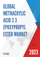 Global Methacrylic Acid 2 3 Epoxypropyl Ester Market Research Report 2022