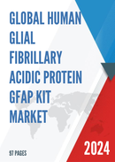 Global Human Glial Fibrillary Acidic Protein GFAP Kit Market Research Report 2023