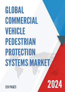 Global Commercial Vehicle Pedestrian Protection Systems Market Insights and Forecast to 2028