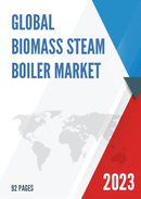 Global Biomass Steam Boiler Market Insights and Forecast to 2028