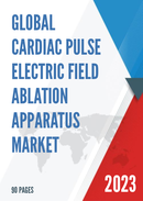 Global Cardiac Pulse Electric Field Ablation Apparatus Market Research Report 2023