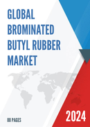 Global Brominated Butyl Rubber Market Outlook 2022