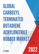 Global Carboxyl Terminated Butadiene Acrylonitrile Rubber Market Insights and Forecast to 2028