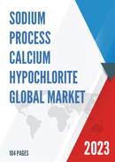 Global Sodium Process Calcium Hypochlorite Market Insights and Forecast to 2028