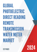 Global Photoelectric Direct Reading Remote Transmission Water Meter Market Research Report 2024